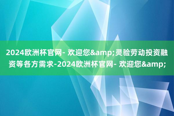 2024欧洲杯官网- 欢迎您&灵验劳动投资融资等各方需求-2024欧洲杯官网- 欢迎您&