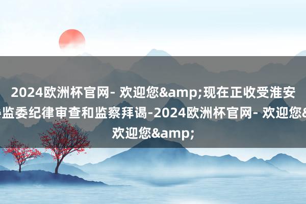 2024欧洲杯官网- 欢迎您&现在正收受淮安市纪委监委纪律审查和监察拜谒-2024欧洲杯官网- 欢迎您&